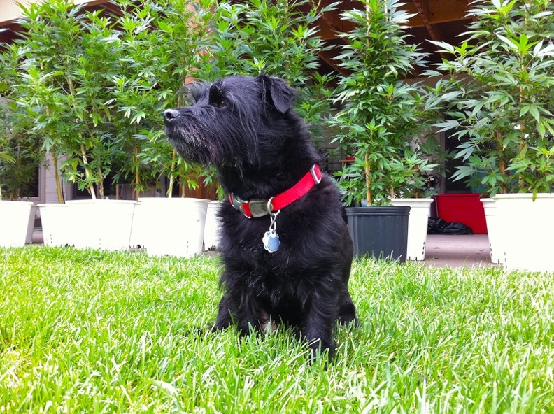 Denver, Colorado - 3